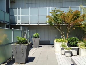 a patio with plants and trees