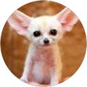 Andrew Bleiman profile picture